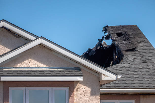Top rated local Odor Removal specialists in Fairfax Station, VA